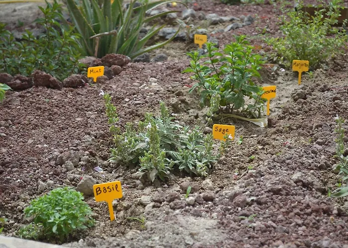 Floralia Konukevi 3*