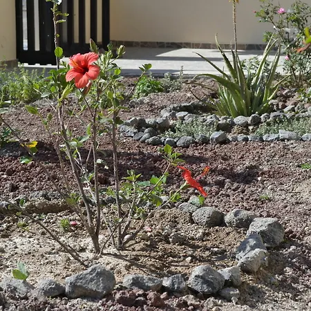 Guest house Floralia