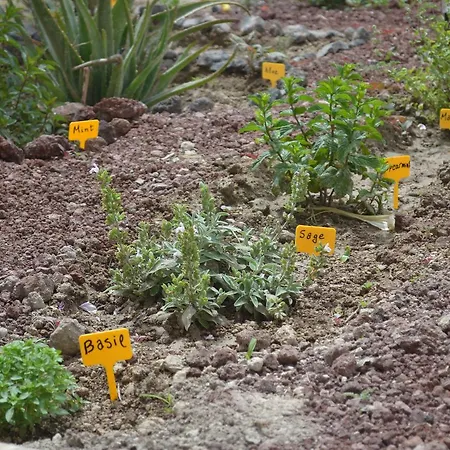 Floralia Pensionat 3*